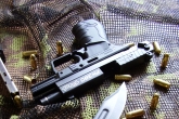 Walther PK380 Wallpaper